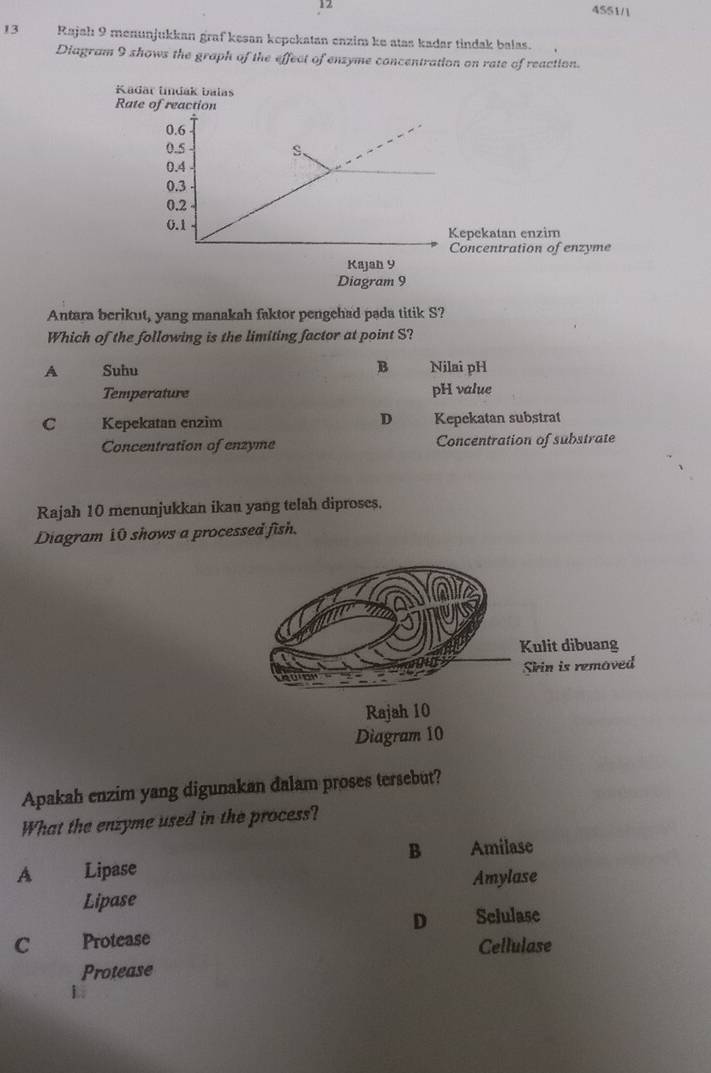 12
4551/1
13 Rajah 9 menunjukkan graf kesan kepckatan enzim ke atas kadar tindak balas.
Diagram 9 shows the graph of the effect of enzyme concentration on rate of reaction.
Kadar lndak balas
Rate of reaction
epekatan enzim
oncentration of enzyme
Diagram 9
Antara berikut, yang manakah faktor pengehad pada titik S?
Which of the following is the limiting factor at point S?
B
A Suhu Nilai pH
Temperature pH value
D
C Kepekatan enzim Kepekatan substrat
Concentration of enzyme Concentration of substrate
Rajah 10 menunjukkan ikan yang telah diproses.
Diagram 10 shows a processed fish.
Rajah 10
Diagram 10
Apakah enzim yang digunakan dalam proses tersebut?
What the enzyme used in the process?
B Amilase
A Lipase
Amylase
Lipase
D Selulase
C Protease
Cellulase
Protease