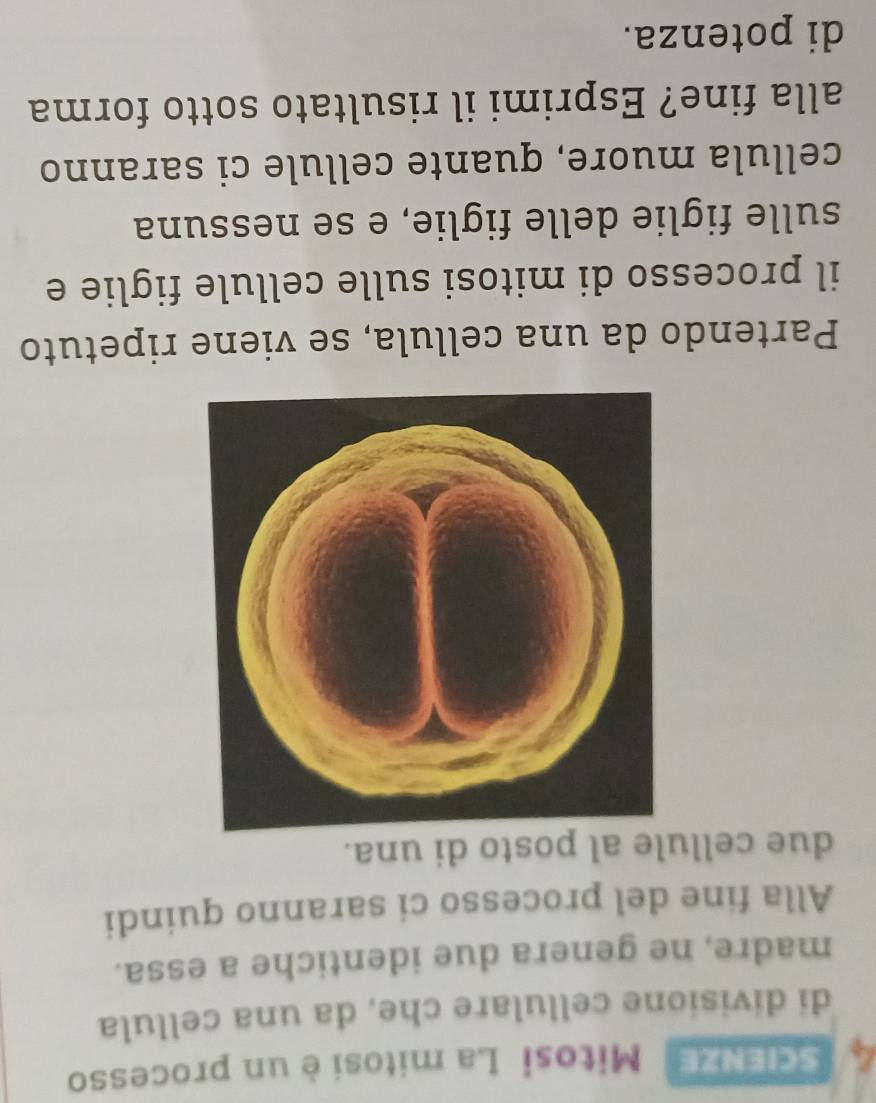 scienze Mitosi La mitosi è un processo 
di divisione cellulare che, da una cellula 
madre, ne genera due identiche a essa. 
Alla fine del processo ci saranno quindi 
due cellule al posto di una. 
Partendo da una cellula, se viene ripetuto 
il processo di mitosi sulle cellule figlie e 
sulle figlie delle figlie, e se nessuna 
cellula muore, quante cellule ci saranno 
alla fine? Esprimi il risultato sotto forma 
di potenza.