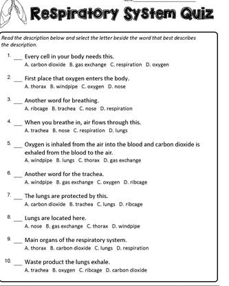 Respiratory System Quiz
Read the description below and select the letter beside the word that best describes
the description.
1. _Every cell in your body needs this.
A. carbon dioxide B. gas exchange C. respiration D. oxygen
_
2. First place that oxygen enters the body.
A. thorax B. windpipe C. oxygen D. nose
_
3. Another word for breathing.
A. ribcage B. trachea C. nose D. respiration
4. _When you breathe in, air flows through this.
A. trachea B. nose C. respirationl D. lungs
5. _Oxygen is inhaled from the air into the blood and carbon dioxide is
exhaled from the blood to the air.
A. windpipe B. lungs C. thorax D. gas exchange
_
6. Another word for the trachea.
A. windpipe B. gas exchange C. oxygen D. ribcage
7. _The lungs are protected by this.
A. carbon dicxide B. trachea C. lungs D. ribcage
_
B. Lungs are located here.
A. mose B. gas exchange C. thorax D. windpipe
_
B. Main organs of the respiratory system.
A. thorax B. carbon dioxide C. lungs D. respiration
10. _Waste product the lungs exhale.
A. trachea B. oxygen C. ribcage D. carbon dioxide