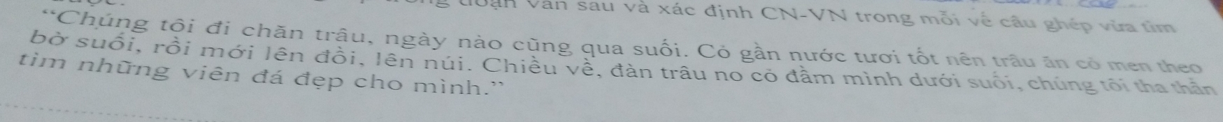 Dạn Van sau và xác định CN-VN trong mỗi về câu ghép vừa tìm 
*Chúng tội đi chăn trậu, ngày nào cũng qua suối. Có gần nước tươi tốt nên trâu ăn có men theo 
bờ suối, rồi mới lên đồi, lên núi. Chiều về, đàn trâu no có đầm mình dưới suối, chúng tối tha thần 
tim những viên đá đẹp cho mình.''