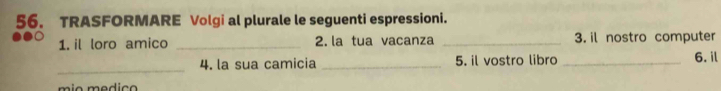 TRASFORMARE Volgi al plurale le seguenti espressioni. 
1. il loro amico _2. la tua vacanza _3. il nostro computer 
_ 
4. la sua camicia _5. il vostro libro _6. il 
mio medic o