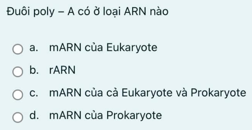 Đuôi poly - A có ở loại ARN nào
a. mARN của Eukaryote
b. rARN
c. mARN của cả Eukaryote và Prokaryote
d. mARN của Prokaryote