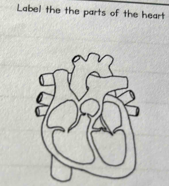 Label the the parts of the heart