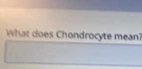 What does Chondrocyte mean?