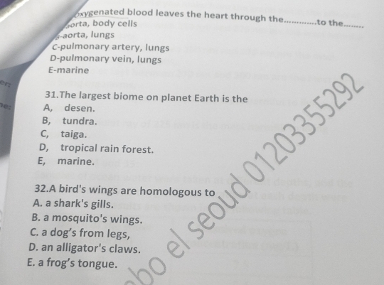 oxygenated blood leaves the heart through the _to the_
borta, body cells
s-aorta, lungs
C-pulmonary artery, lungs
D-pulmonary vein, lungs
E-marine
er:
31.The largest biome on planet Earth is the
92
A, desen.
B, tundra.
C, taiga.
D, tropical rain forest.
E, marine.
32.A bird's wings are homologous to
A. a shark's gills.
B. a mosquito's wings.
C. a dog’s from legs,
D. an alligator's claws.
E. a frog’s tongue.