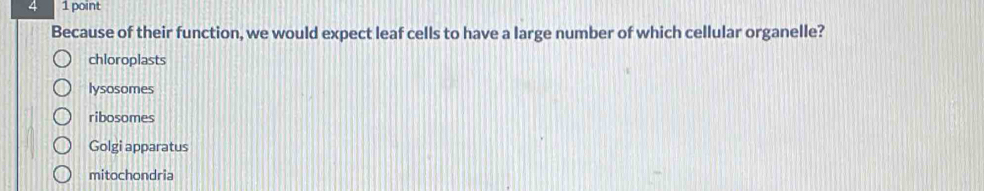 4 1 point
Because of their function, we would expect leaf cells to have a large number of which cellular organelle?
chloroplasts
lysosomes
ribosomes
Golgi apparatus
mitochondria