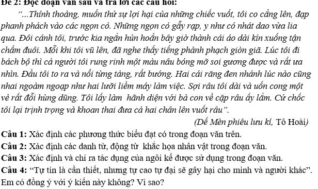 Đe 2: Đọc đoạn van sau và tra lới các câu hỏi: 
'.Thinh thoảng, muốn thử sự lợi hại của những chiếc vuốt, tôi co cẳng lên, đạp 
phanh phách vào các ngọn cỏ. Những ngọn cỏ gẩy rạp, y như có nhát dao vừa lia 
qua. Đôi cánh tôi, trước kia ngắn hủn hoắn bây giờ thành cái áo dài kín xuống tận 
chẩm đuôi. Mỗi khi tôi vũ lên, đã nghe thấy tiếng phành phạch giòn giã. Lúc tôi đi 
bách bộ thì cả người tôi rung rinh một màu nâu bóng mỡ soi gương được và rất ưa 
nhìn. Đầu tôi to ra và nổi từng tảng, rất bướng. Hai cái răng đen nhánh lúc nào cũng 
nhai ngoàm ngoạp như hai lưỡi liềm máy làm việc. Sợi râu tôi dài và uốn cong một 
vẻ rất đổi hùng dũng. Tôi lấy làm hãnh diện với bà con về cặp râu ấy lắm. Cứ chốc 
tôi lại trịnh trọng và khoan thai đưa cả hai chân lên vuốt râu''. 
(Dế Mèn phiêu lưu kí, Tô Hoài) 
Câu 1: Xác định các phương thức biểu đạt có trong đoạn văn trên. 
Câu 2: Xác định các danh từ, động từ khắc họa nhân vật trong đoạn văn. 
Câu 3: Xác định và chỉ ra tác dụng của ngôi kể được sử dụng trong đoạn văn. 
Câu 4: “Tự tin là cần thiết, nhưng tự cao tự đại sẽ gây hại cho mình và người khác”. 
Em có đồng ý với ý kiển này không? Vì sao?