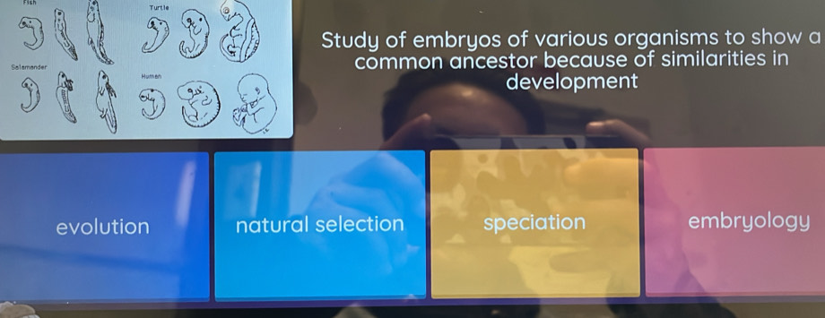 Turtle
Study of embryos of various organisms to show a
common ancestor because of similarities in
development
evolution natural selection speciation embryology