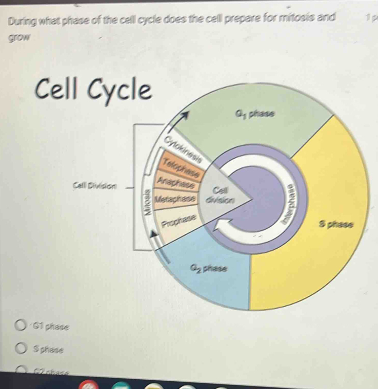 During what phase of the cell cycle does the cell prepare for mitosis and 1
grow
Ce
G1 phase
S phase
chase