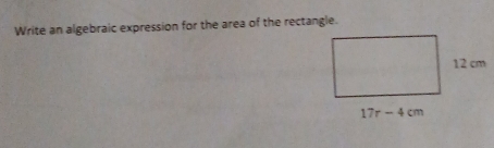 Write an algebraic expression for the area of the rectangle.