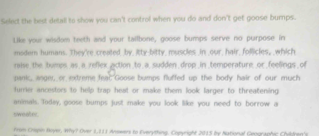 Select the best detall to show you can't control when you do and don't get goose bumps. 
Like your wisdom teeth and your tailbone, goose bumps serve no purpose in 
modern humans. They're created, by_ itty-bitty_ muscles in our_ hair_ follicles, which 
raise, the bumps, as, a, reflex, action _to a, sudden , drop _in _temperature _or feelings _ of 
panic, anger, or extreme fear Goose bumps fluffed up the body hair of our much 
furrier ancestors to help trap heat or make them look larger to threatening 
animals. Today, goose bumps just make you look like you need to borrow a 
sweater. 
From Crispin Boyer, Why? Over 1,111 Answers to Everything. Copyright 2015 by National Geographic Children's