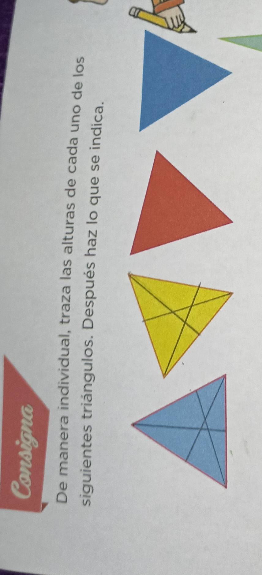 Consigna 
De manera individual, traza las alturas de cada uno de los 
siguientes triángulos. Después haz lo que se indica.