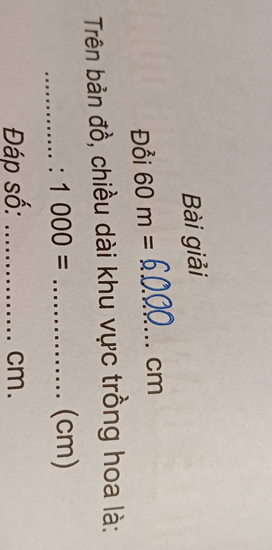 Bài giải 
Đồi 60m= _ cm
Trên bản đồ, chiều dài khu vực trồng hoa là: 
_° 1000= _ 
(cm) 
Đáp số: _ cm.