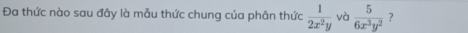 Đa thức nào sau đây là mẫu thức chung của phân thức  1/2x^2y  và  5/6x^3y^2  ?