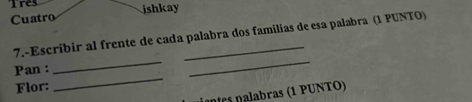 Tres 
Cuatro ishkay 
7.-Escribir al frente de cada palabra dos familias de esa palabra (1 PUNTO) 
__ 
_ 
Pan : 
Flor: 
iantes palabras (1 PUNTO)