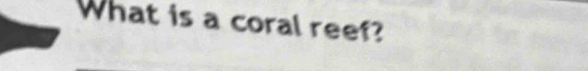 What is a coral reef?