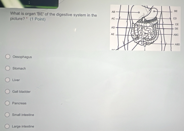 What is organ 'BE' of the digestive system in the
picture? * (1 Point)
Oesophagus
Stomach
Liver
Gall bladder
Pancreas
Small intestine
Large intestine