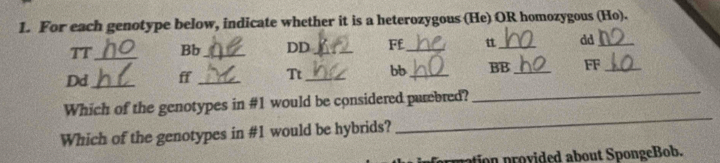 For each genotype below, indicate whether it is a heterozygous (He) OR homozygous (Ho). 
TT_ 
Bb_ 
DD_ 
Ff_ 
_t 
dd_ 
bb_ 
BB_ 
FF_ 
Dd_ 
ff_ 
Tt_ 
Which of the genotypes in #1 would be considered purebred? 
_ 
Which of the genotypes in #1 would be hybrids? 
_ 
io ovided about S pongeBob.