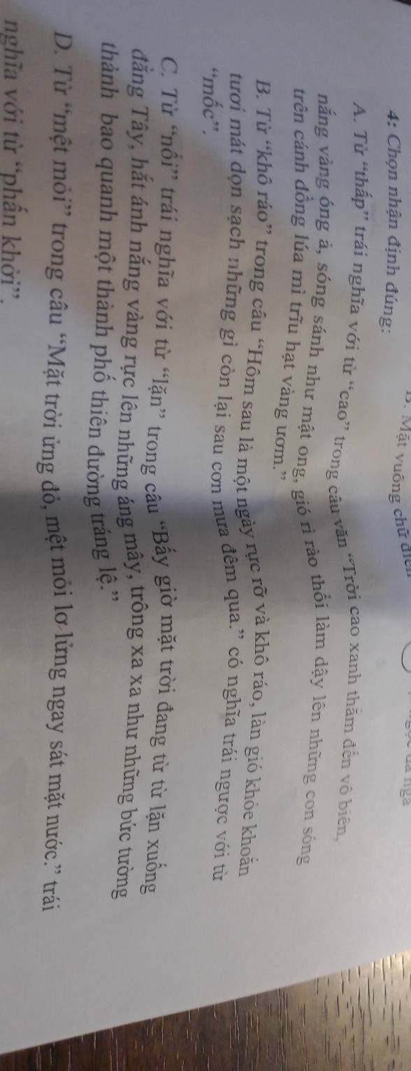 Mặt vuông chữ điển
ga
4: Chọn nhận định đúng:
A. Từ “thấp” trái nghĩa với từ “cao” trong câu văn “Trời cao xanh thăm đến vô biên,
nắng vàng óng ả, sóng sánh như mật ong, gió rì rào thổi làm dậy lên những con sóng
trên cánh đồng lúa mì trĩu hạt vàng ươm.''
B. Từ “khô ráo” trong câu “Hôm sau là một ngày rực rỡ và khô ráo, làn gió khỏe khoắn
tưới mát dọn sạch những gì còn lại sau cơn mưa đêm qua.” có nghĩa trái ngược với từ
“mốc”.
C. Từ “nổi” trái nghĩa với từ “lặn” trong câu “Bấy giờ mặt trời đang từ từ lặn xuống
đẳng Tây, hắt ánh nắng vàng rực lên những áng mây, trông xa xa như những bức tường
thành bao quanh một thành phố thiên đường tráng lệ.*
D. Từ “mệt mỏi” trong câu “Mặt trời ứng đỏ, mệt mỏi lơ lửng ngay sát mặt nước.” trái
nghĩa với từ “phấn khởi”.