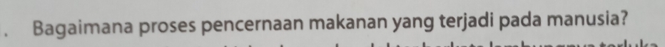 Bagaimana proses pencernaan makanan yang terjadi pada manusia?