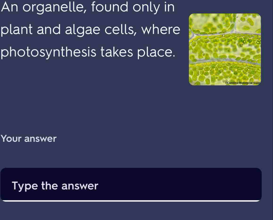 An organelle, found only in 
plant and algae cells, where 
photosynthesis takes place. 
Your answer 
Type the answer