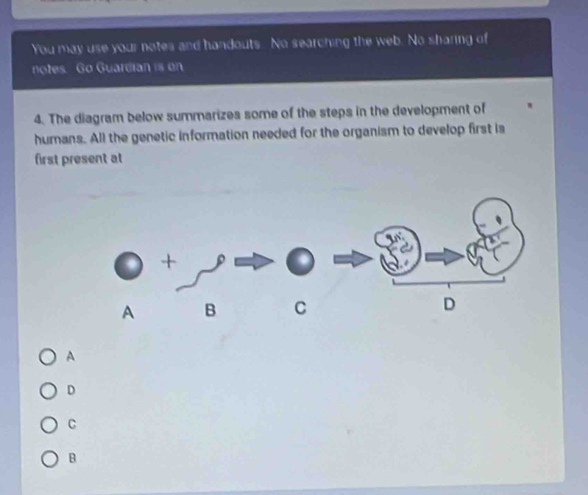 You may use your notes and handouts. No searching the web. No sharing of
notes. Go Guardian is on
4. The diagram below summarizes some of the steps in the development of
humans. All the genetic information needed for the organism to develop first is
first present at
+
A B C 
A
D
C
B