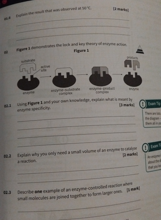 01.6 Explain the result that was observed at 50°C. [2 marks] 
_ 
_ 
02 Figure 1 demonstrates the lock and key theory of enzyme action. 
02.1 Using Figure 1 and your own knowledge, explain what is meant by Exam Tip 
[3 marks] 
enzyme specificity. 
_ 
There are lots 
the diagram - 
_them all in yo 
_ 
_ 
02.2 Explain why you only need a small volume of an enzyme to catalyse Exam T 
[2 marks] An enzyme 
a reaction. 
about the d
_that you lea 
_ 
02.3 Describe one example of an enzyme-controlled reaction where 
_ 
small molecules are joined together to form larger ones. [1 mark] 
_