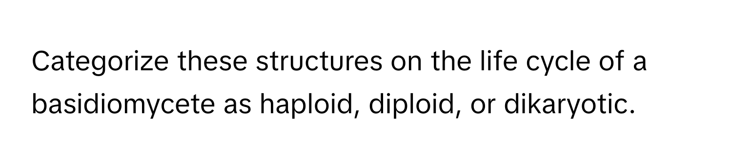 Categorize these structures on the life cycle of a basidiomycete as haploid, diploid, or dikaryotic.