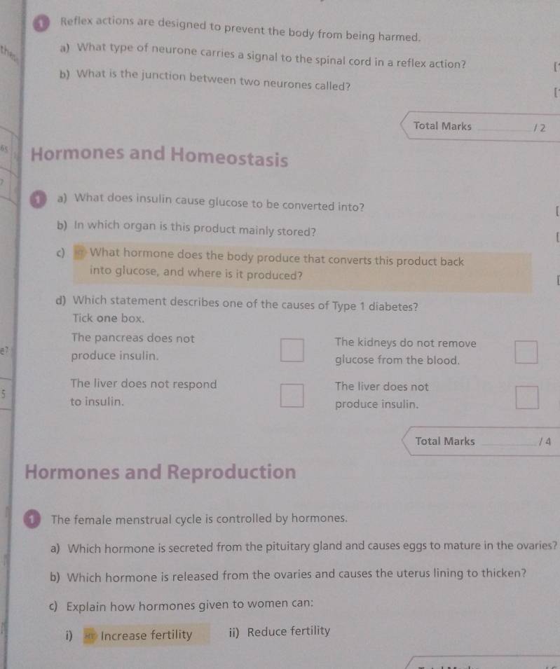 Reflex actions are designed to prevent the body from being harmed.
thes
a) What type of neurone carries a signal to the spinal cord in a reflex action?
[
b) What is the junction between two neurones called?
_
Total Marks _1 2
65 Hormones and Homeostasis
a) What does insulin cause glucose to be converted into?
b) In which organ is this product mainly stored?
c) 
What hormone does the body produce that converts this product back
into glucose, and where is it produced?
d) Which statement describes one of the causes of Type 1 diabetes?
Tick one box.
The pancreas does not The kidneys do not remove
e7 produce insulin. glucose from the blood.
The liver does not respond The liver does not
5 to insulin.
produce insulin.
Total Marks _/ 4
Hormones and Reproduction
1 The female menstrual cycle is controlled by hormones.
a) Which hormone is secreted from the pituitary gland and causes eggs to mature in the ovaries?
b) Which hormone is released from the ovaries and causes the uterus lining to thicken?
c) Explain how hormones given to women can:
i) Increase fertility ii) Reduce fertility