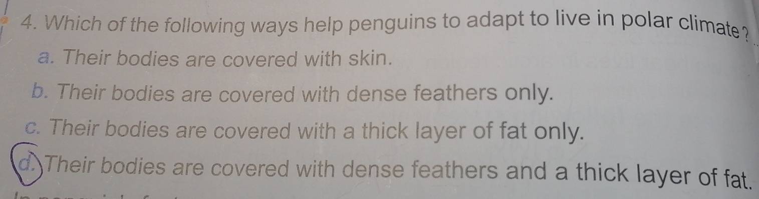 Which of the following ways help penguins to adapt to live in polar climate?
a. Their bodies are covered with skin.
b. Their bodies are covered with dense feathers only.
c. Their bodies are covered with a thick layer of fat only.
d. Their bodies are covered with dense feathers and a thick layer of fat.