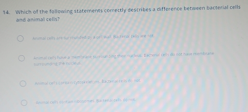 Which of the following statements correctly describes a difference between bacterial cells
and animal cells?
Animal cells are surrounded by a cell wail. Bacterial cells are not.
Animal cells have a membrane surrounding their nucleus. Bacterial cells do not have membrane
surrounding the ricleus.
Animal cells contain cytoskeletons. Bacterial cells do not.
Animal cells contain ribosomes. Bacterial cells do not