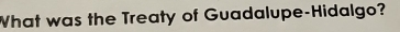 What was the Treaty of Guadalupe-Hidalgo?