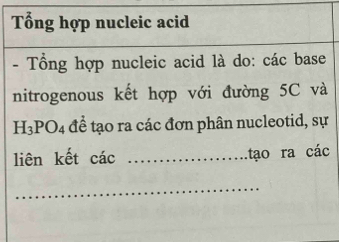 Tổng hợp nucleic acid 
- Tổng hợp nucleic acid là do: các base 
nitrogenous kết hợp với đường 5C và
H_3PO_4 để tạo ra các đơn phân nucleotid, sự 
liên kết các _tạo ra các 
_