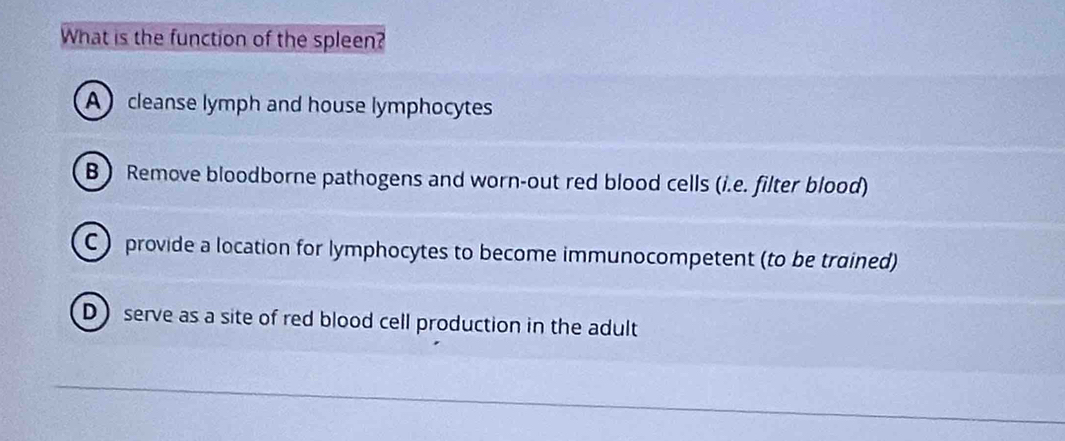 What is the function of the spleen?
A cleanse lymph and house lymphocytes
B) Remove bloodborne pathogens and worn-out red blood cells (i.e. filter blood)
C ) provide a location for lymphocytes to become immunocompetent (to be trained)
Dserve as a site of red blood cell production in the adult