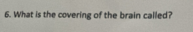 What is the covering of the brain called?