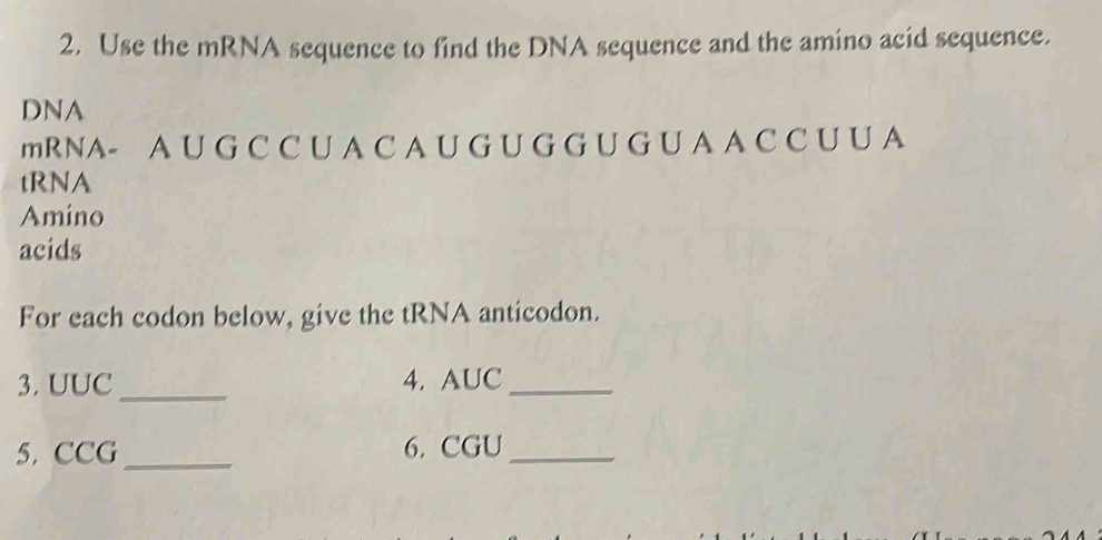 Solved: Use the mRNA sequence to find the DNA sequence and the amino ...
