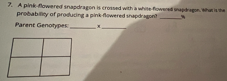 A pink-flowered snapdragon is crossed with a white-flowered snapdragon. What is the 
probability of producing a pink-flowered snapdragon? _ %
Parent Genotypes: _X_