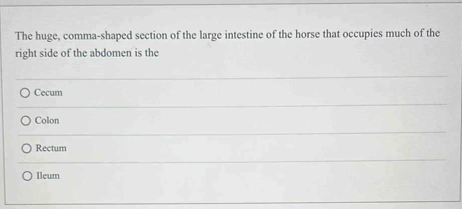 The huge, comma-shaped section of the large intestine of the horse that occupies much of the
right side of the abdomen is the
Cecum
Colon
Rectum
Ileum