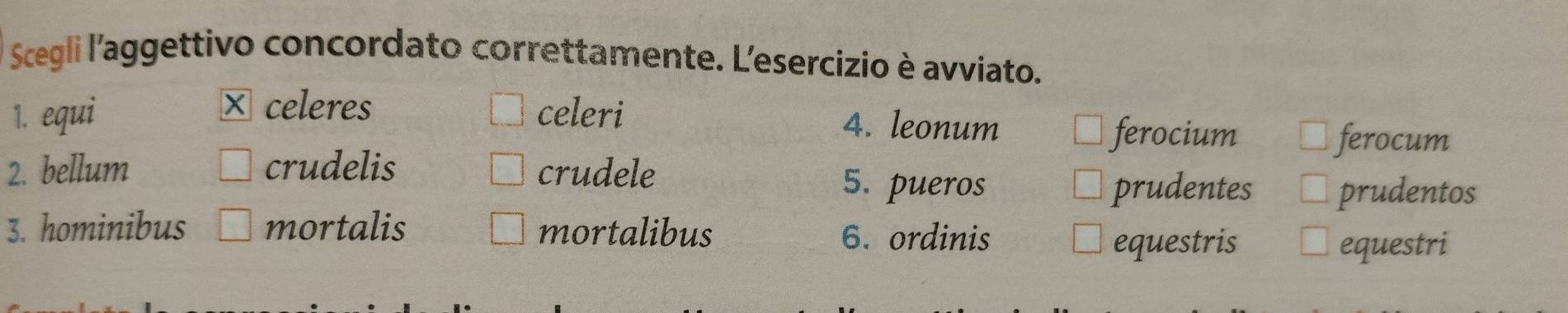 Scegli l'aggettivo concordato correttamente. L'esercizio è avviato.
× celeres 4. leonum
1. equi celeri ferocium
ferocum
2. bellum crudelis crudele 5. pueros
prudentes prudentos
3. hominibus mortalis mortalibus 6. ordinis
equestris equestri