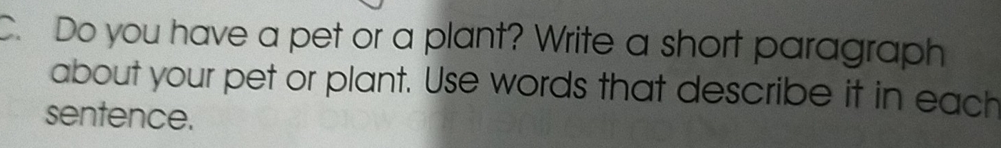 Do you have a pet or a plant? Write a short paragraph 
about your pet or plant. Use words that describe it in each 
sentence.