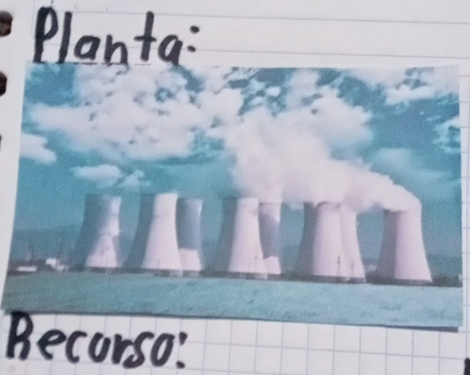 Planta: 
Becurso: