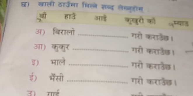 घ) खाली ठाउमा मिलने शब्द लेब्लुहोस 
जूो हाउ आई कखुरी को नम्याड 
अ) बिरालो_ 
गरी कराउेडछ। 
आ) कुकर_ 
गरी कराउैड। 
इ) भाले_ 
गरी कराउँड। 
ई) भैंसी _गरी कराउँछ।