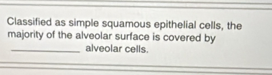 Classified as simple squamous epithelial cells, the 
majority of the alveolar surface is covered by 
_alveolar cells.