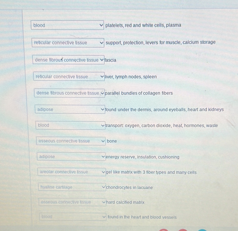 blood platelets, red and white cells, plasma
reticular connective tissue support, protection, levers for muscle, calcium storage
dense fibrous connective tissue fascia
reticular connective tissue liver, lymph nodes, spleen
dense fibrous connective tissue parallel bundles of collagen fibers
adipose found under the dermis, around eyeballs, heart and kidneys
blood transport: oxygen, carbon dioxide, heat, hormones, waste
osseous connective tissue bone
adipose energy reserve, insulation, cushioning
areolar connective tissue gel like matrix with 3 fiber types and many cells
hyaline cartilage chondrocytes in lacuane
osseous connective tissue hard calcified matrix
blood found in the heart and blood vessels