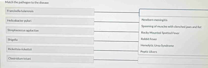 Match the pathogen to the disease
Francisella tularensis
Helicobacter pylori
Newborn meningitis
Spasming of muscles with clenched jaws and fst
Streptococcus agalactiae Rocky Mounted Spotted Fever
Shigella
Rabbit Fever
Hemolytic Urea Syndrome
Rickettsia rickettsii Peptic Ulcers
Clostridium tetani