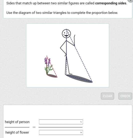 Sides that match up between two similar figures are called corresponding sides. 
Use the diagram of two similar triangles to complete the proportion below. 
CLEAR CHECK
 heightofperson/heightofflower = □ /□  