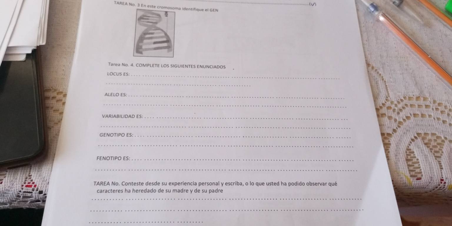 TAREA No. 3 En este cr identifique el GEN 
Tarea No. 4. COMPLETE LOS SIGUIENTES ENUNCIADOS . 
LOCUS ES:_ 
_ 
ALELO ES:_ 
_ 
VARIABILIDAD ES:_ 
_ 
GENOTIPO ES:_ 
_ 
FENOTIPO ES:_ 
_ 
TAREA No. Conteste desde su experiencia personal y escriba, o lo que usted ha podido observar qué 
caracteres ha heredado de su madre y de su padre 
_ 
_ 
_