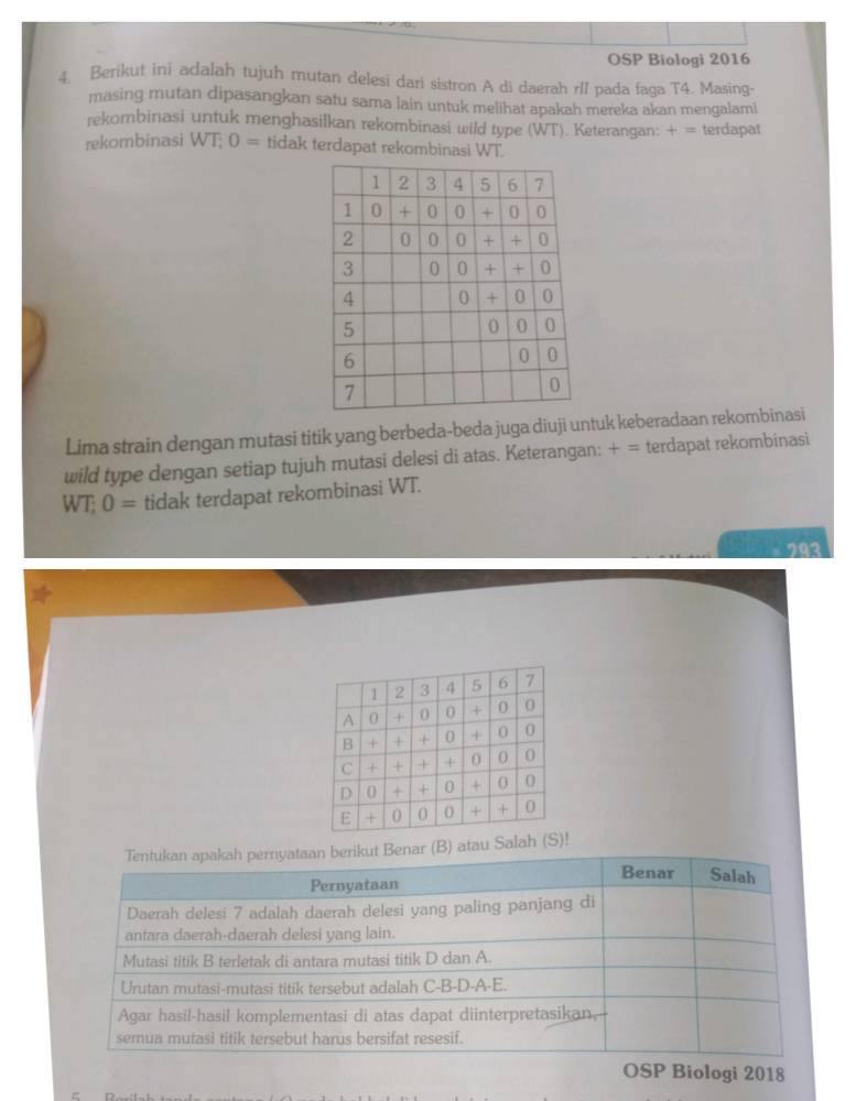 OSP Biologi 2016
4. Berikut ini adalah tujuh mutan delesi dari sistron A di daerah rII pada faga T4. Masing-
masing mutan dipasangkan satu sama lain untuk melihat apakah mereka akan mengalami
rekombinasi untuk menghasilkan rekombinasi wild type (WT). Keterangan: += terdapat
rekombinasi WT; 0= tidak terdapat rekombinasi WT.
Lima strain dengan mutasi titik yang berbeda-beda juga diuji untuk keberadaan rekombinasi
wild type dengan setiap tujuh mutasi delesi di atas. Keterangan: + = terdapat rekombinasi
WT; 0= tidak terdapat rekombinasi WT.
293
Salah!
OSP Biologi 2018