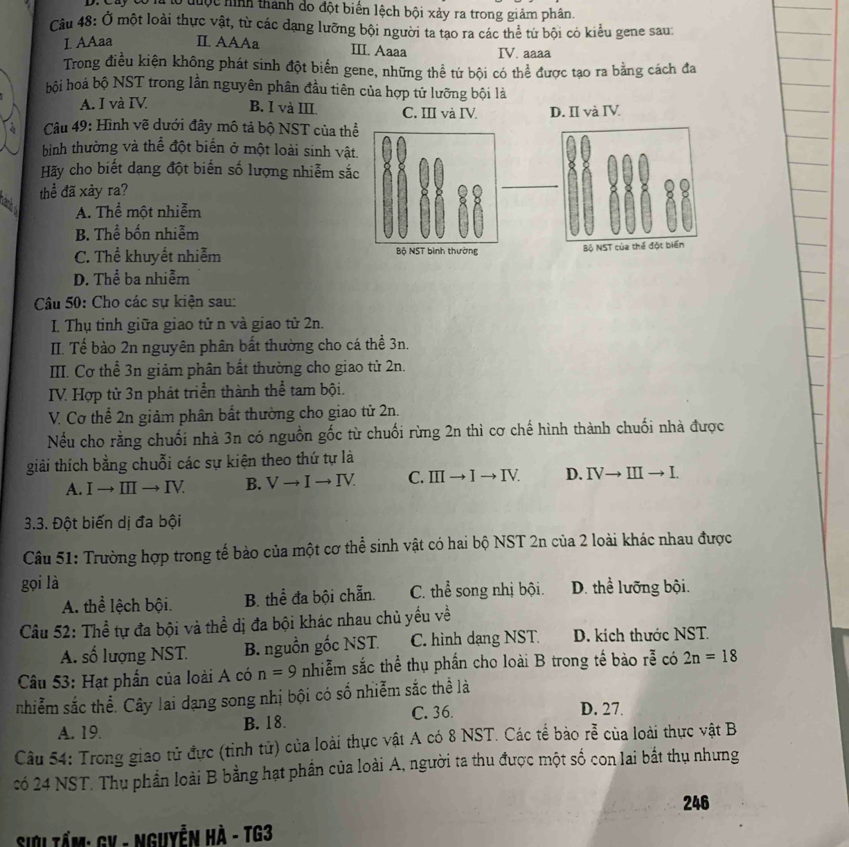 Cây có là tổ đưộc hình thành do đột biển lệch bội xảy ra trong giảm phân.
Câu 48: Ở một loài thực vật, từ các dạng lưỡng bội người ta tạo ra các thể tứ bội có kiểu gene sau:
I. AAaa II. AAAa III. Aaaa
IV. aaaa
Trong điều kiện không phát sinh đột biển gene, những thể tứ bội có thể được tạo ra bằng cách đa
bội hoá bộ NST trong lần nguyên phân đầu tiên của hợp tử lưỡng bội là
A. I và IV
B. I và III. C. III và IV. D. II và IV
Câu 49: Hình vẽ dưới đây mô tả bộ NST của t
bình thường và thể đột biển ở một loài sinh v
Hãy cho biết dạng đột biến số lượng nhiễm s
thể đã xảy ra?
A. Thể một nhiễm
B. Thể bốn nhiễm
C. Thể khuyết nhiễm
D. Thể ba nhiễm
Câu 50: Cho các sự kiện sau:
I. Thụ tỉnh giữa giao tử n và giao tử 2n.
II. Tế bào 2n nguyên phân bất thường cho cá thể 3n.
II. Cơ thể 3n giảm phân bất thường cho giao tử 2n.
IV. Hợp tử 3n phát triển thành thể tam bội.
V. Cơ thể 2n giảm phân bất thường cho giao tử 2n.
Nếu cho rằng chuối nhà 3n có nguồn gốc từ chuối rừng 2n thì cơ chế hình thành chuối nhà được
giải thích bằng chuỗi các sự kiện theo thứ tự là
A. I → Ⅲ → I V B. Vto Ito IV. C. IIIto Ito IV. D. IVto IIIto I.
3.3. Đột biến dị đa bội
Câu 51: Trường hợp trong tế bào của một cơ thể sinh vật có hai bộ NST 2n của 2 loài khác nhau được
gọi là D. thể lưỡng bội.
A. thể lệch bội. B. thể đa bội chẵn. C. thể song nhị bội.
Câu 52: Thể tự đa bội và thể dị đa bội khác nhau chủ yếu về
A. số lượng NST. B. nguồn gốc NST. C. hình dạng NST. D. kích thước NST.
Câu 53: Hạt phần của loài A có n=9 nhiễm sắc thể thụ phần cho loài B trong tế bào rhat e có 2n=18
nhiễm sắc thể. Cây lai dạng song nhị bội có số nhiễm sắc thể là
C. 36. D. 27.
A. 19. B. 18.
Câu 54: Trong giao tử đực (tinh tử) của loài thực vật A có 8 NST. Các tế bào rễ của loài thực vật B
có 24 NST. Thụ phần loài B bằng hạt phần của loài A, người ta thu được một số con lai bắt thụ nhưng
246
Siửi tầm: GV - Nguyễn Hà - TG3