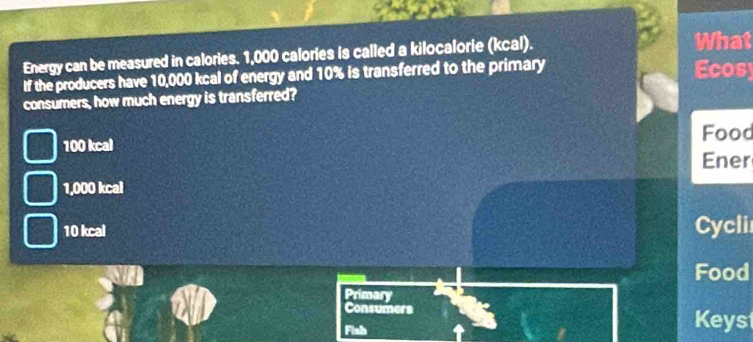 Energy can be measured in calories. 1,000 calories is called a kilocalorie (kcal). What
If the producers have 10,000 kcal of energy and 10% is transferred to the primary Ecosy
consumers, how much energy is transferred?
100 kcal Food
Ener
1,000 kcal
10 kcal Cycli
Food
Primary
Consumers Keys
Finh